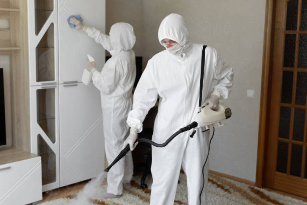 Certified Mold Removal in Cottage Grove, WI