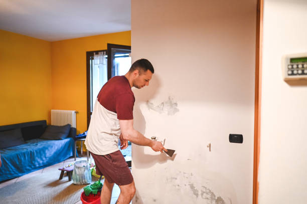 Best Emergency Mold Removal  in Cottage Grove, WI